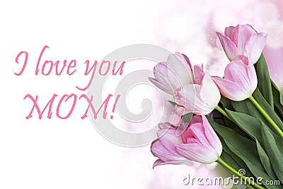 Fresh spring tulip flowers as a holiday postcard design Stock Photo