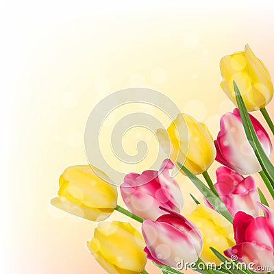 Fresh spring tulip flowers on orange. EPS 10 Vector Illustration