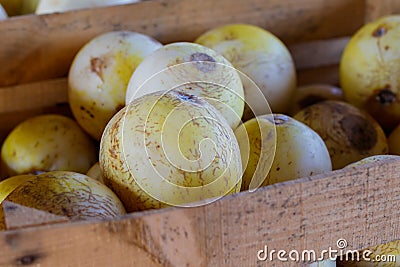 Fresh Sprite Melons Stock Photo