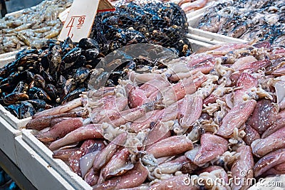 Fresh squids and mussels lying on ice counter at seafood market in Athens, Greece. Open shelf with calamary and bivalve Stock Photo