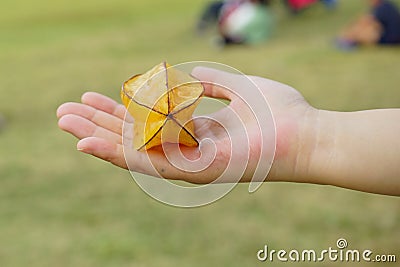 Fresh Star Fruit (carambola) on a person's hand. Stock Photo