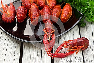 Fresh steamed pair of crawfish on the black rectangular plate on the white wooden background Stock Photo