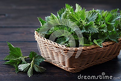 Fresh stinging nettle leaves Stock Photo