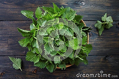 Fresh stinging nettle leaves Stock Photo