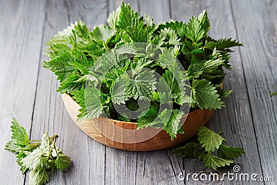 Fresh stinging nettle leaves Stock Photo