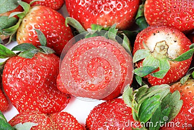 Fresh strawberries Stock Photo