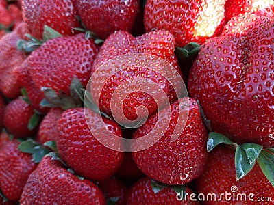 Fresh Strawberries . Big Strawberry Decorate. Stock Photo