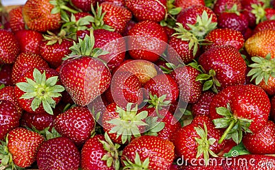Fresh strawberries, broken strawberries Stock Photo