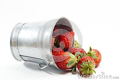 FRESH STRAWBERRIES IN A BUCKET Stock Photo