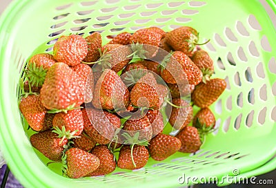 Fresh strawberries in the green basket Stock Photo