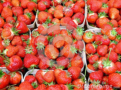 Fresh strawberries macro Stock Photo