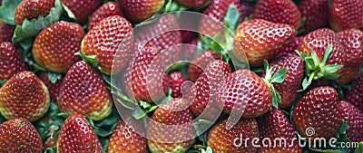 Fresh strawberries marketed in open-air market Stock Photo
