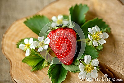 Fresh strawberries top view Stock Photo