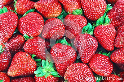 Fresh strawberry harvest background Stock Photo