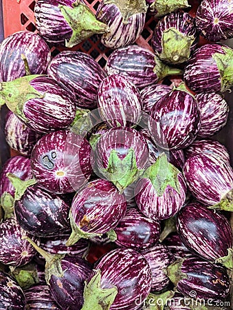 Fresh striped Indian round eggplant in Indian grocery store Stock Photo
