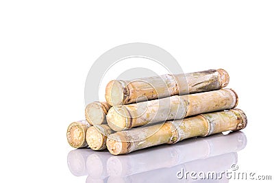 Fresh sugar cane. Studio shot isolated on white Stock Photo
