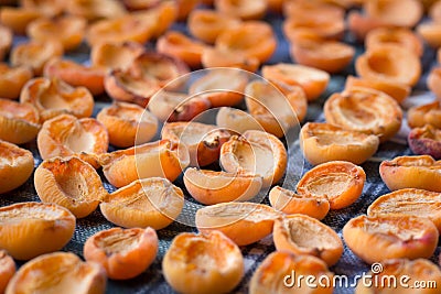 Fresh summer harvest of sun-dried mellow apricots cooking Stock Photo
