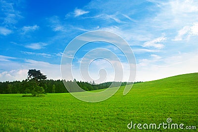 Fresh summer landscape Stock Photo