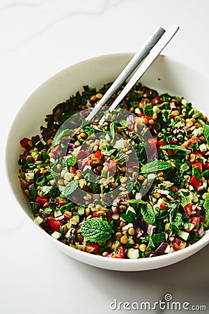 Fresh Summer Lentil Tabbouleh Salad A Wholesome Medley of Lentils, Herbs, and Seasonal Delights Stock Photo