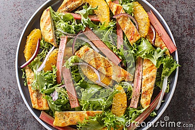 Fresh summer salad of grilled chicken, rhubarb, lettuce, onions and oranges close-up on a plate. horizontal top view Stock Photo