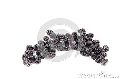 The fresh sweet blackberry looking like something Stock Photo