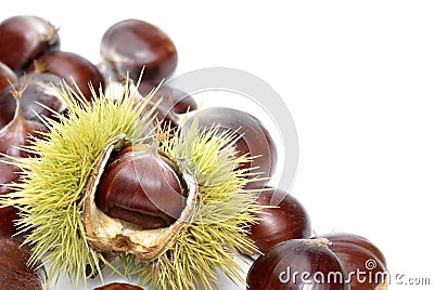 Fresh sweet chestnuts on pure white Stock Photo