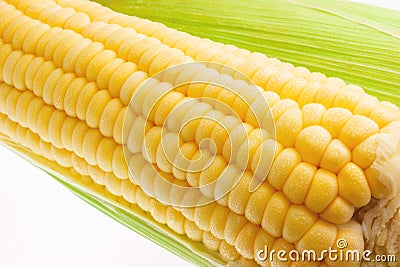 Fresh sweet corn Stock Photo