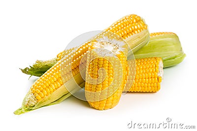 Fresh sweet corn Stock Photo