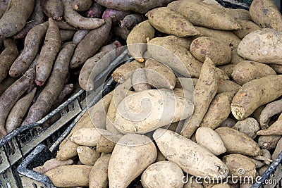 Fresh Sweet Potatoes for Sale Stock Photo