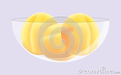 Fresh sweet ripe Yellow apricots in the bowl Vector Illustration