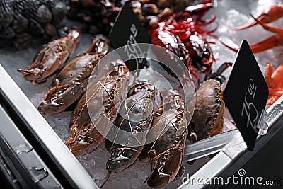 Swimming crabs and other seafood on ice in supermarket Stock Photo