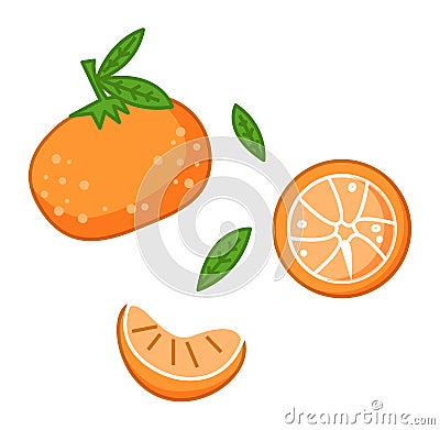 Fresh tangerines with green leaves vector illustration. Orange citrus fruit ripe mandarin Vector Illustration