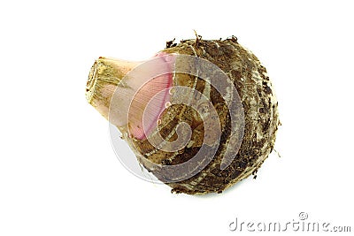 Taro root or colocasia Stock Photo