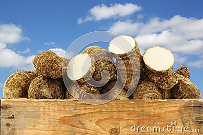 Fresh taro roots (colocasia) and some cut slices Stock Photo