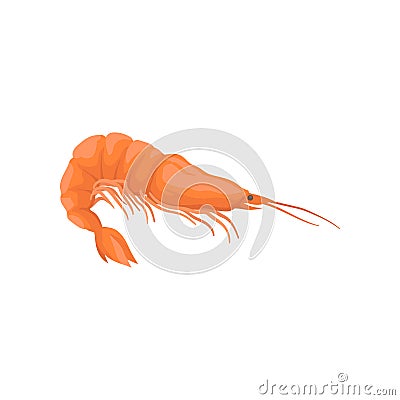 Fresh and tasty shrimp. Boiled prawn with bright red shell and long claws. Flat vector for cafe menu or advertising Vector Illustration