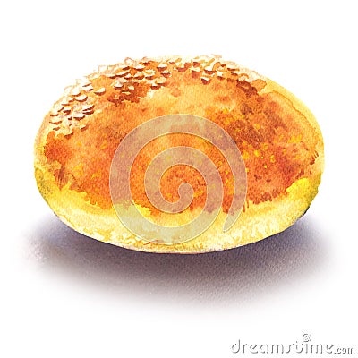 Fresh tasty whole hamburger bun with sesame seeds , watercolor illustration on white Cartoon Illustration