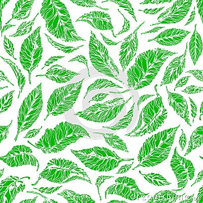 Fresh tea leaf. Vector seamless pattern Vector Illustration