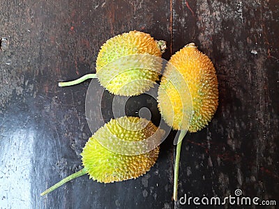 Fresh Teasel gourds in black background. Stock Photo