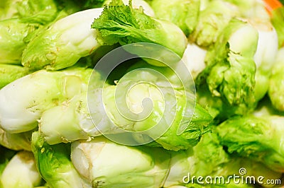 Close up of vegetable roots. A pile of vegetable roots, very fresh. Stock Photo