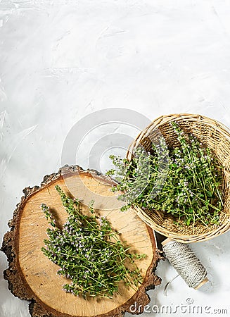 Fresh thyme with fragrant flowers collected. on a gray background. in a wicker basket. space for text Stock Photo