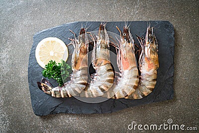 Fresh tiger prawn or shrimp Stock Photo