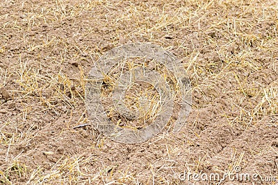 Fresh tillage background Stock Photo