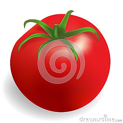 Fresh tomato Vector Illustration