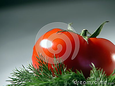 Fresh tomato and dill Stock Photo