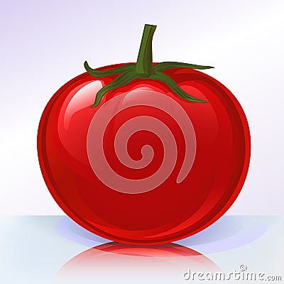 Fresh tomato on reflecting sur Vector Illustration