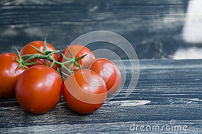 Fresh tomatoes on a branch Stock Photo