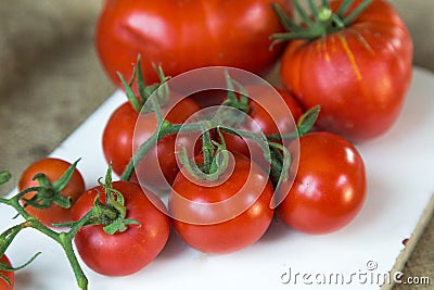 Fresh tomatoes. Cerry Stock Photo