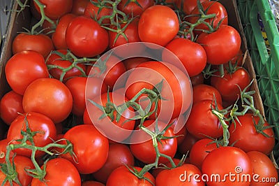 Fresh tomatoes at a farmers market in France Stock Photo