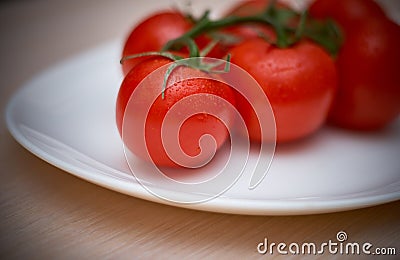 Fresh tomatoes Stock Photo