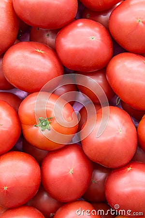 Fresh tomatoes in the market Stock Photo